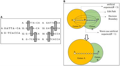 The impact of transitive annotation on the training of taxonomic classifiers